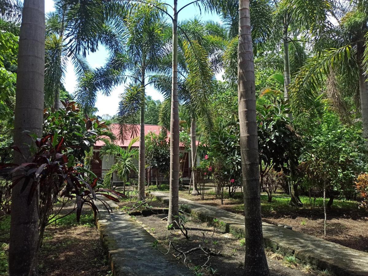 Tangkoko Jungle Homestay Rinondoran Exteriör bild